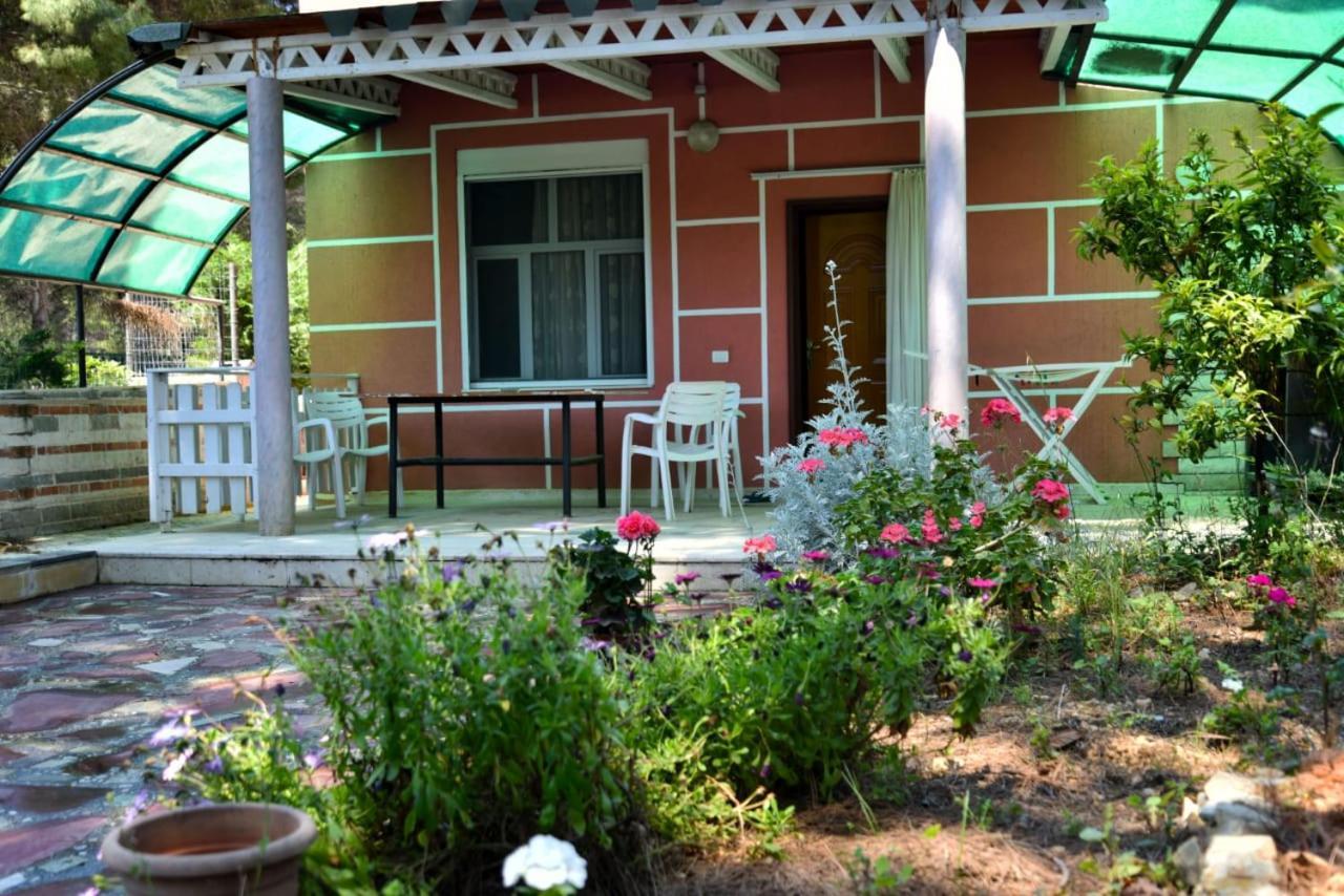 Villas Apartments Shahaj Avlonya Dış mekan fotoğraf